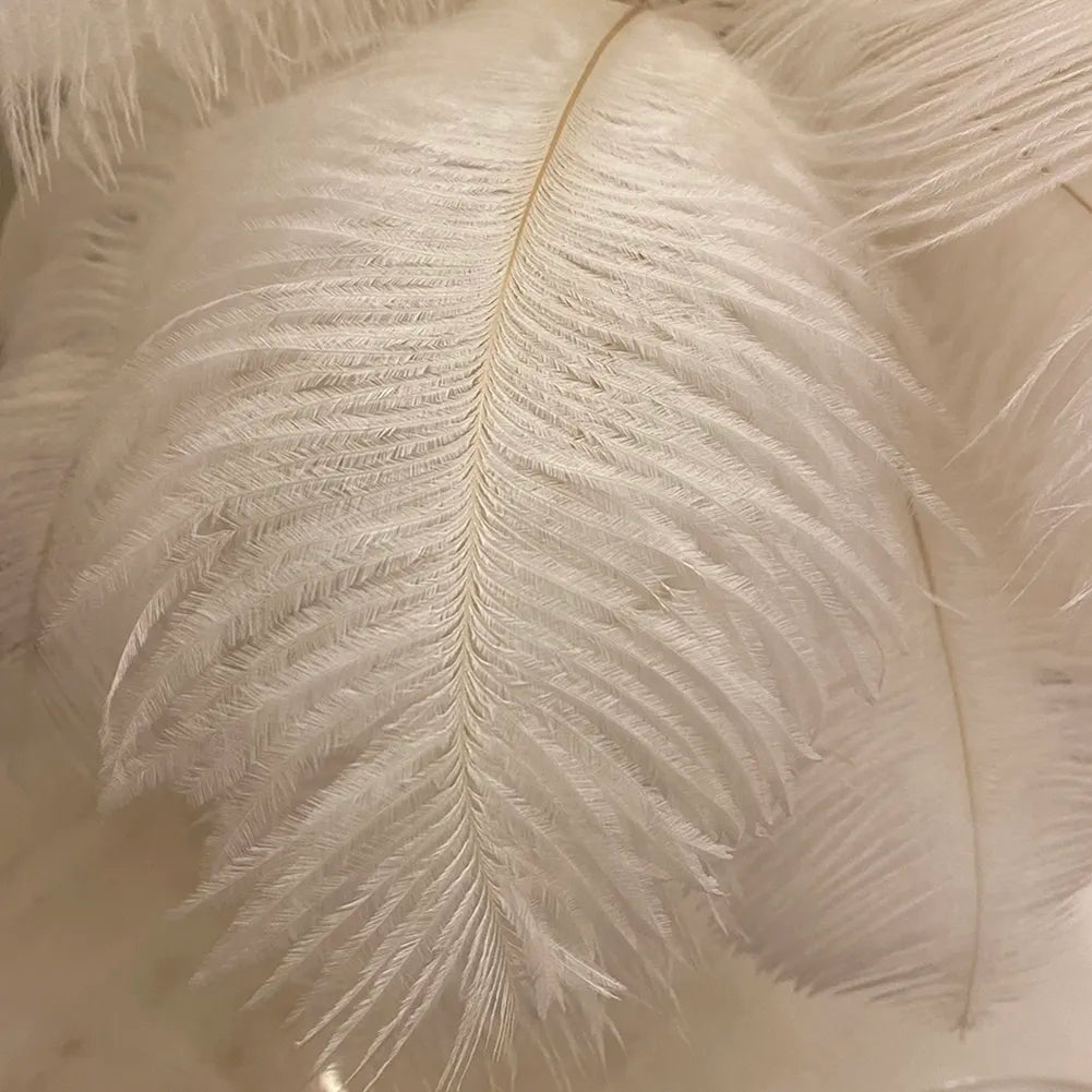 Feather Lamp