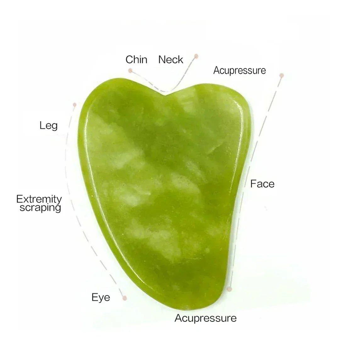 Natural Jade Face Massager and Gua Sha Stone - ReginaOmnia